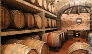 French Oak and Slavonian Oak barriques fill the cellar