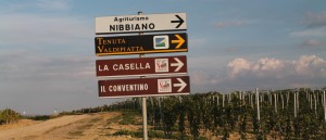 Well-marked road signs lead us to Tenuta Valdipiatta