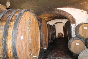 200 Year Old Cellars -- Slavonian and French Oak Barrels 