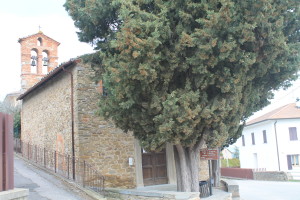 La Chiesa dell 'Annuziata Tomba di Pergino 1446-1524