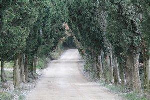 The "white road" to Vagliagli