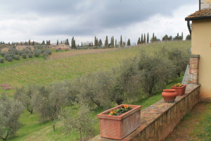 Views from window looking toward the medieval hamlet of Vaglagli