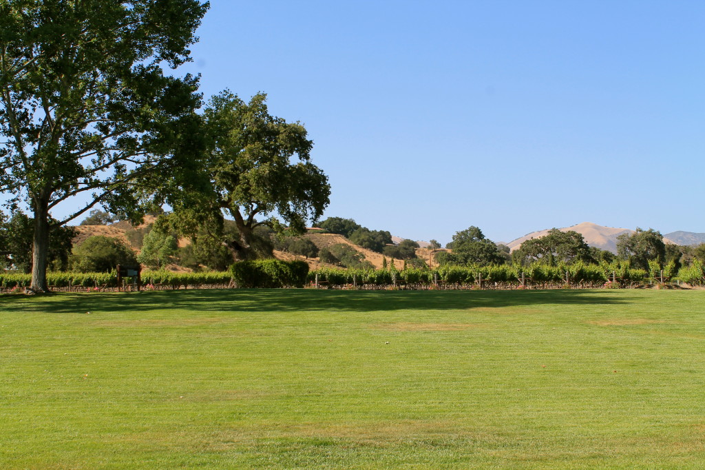 Manicured grounds at Fess Parker are ideal for picnics and wine tasting! 