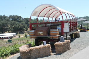 Western Wine Wagon Excursions offer on-board lunch and stops at each vineyard for tasting!