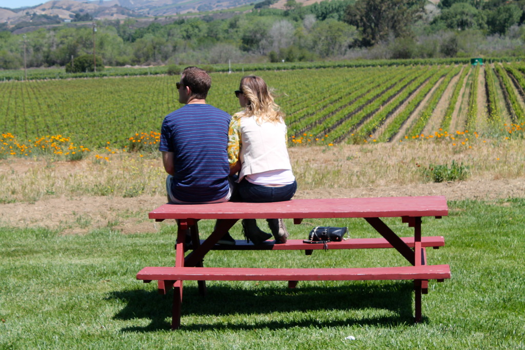 Bring a picnic lunch and stay a while at Lafond Winery and Vineyard!