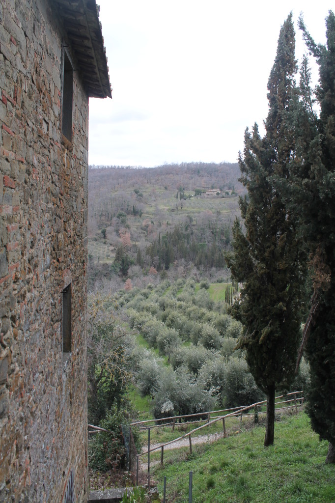 Over 900 acres of vines, olive trees and wooded forests comprise Castello di Volpaia's homestead.