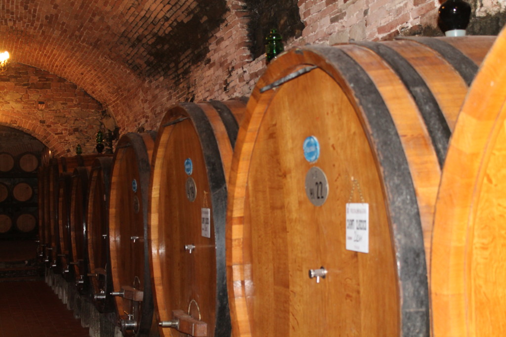 Vignamaggio's 15th century wine cellars 