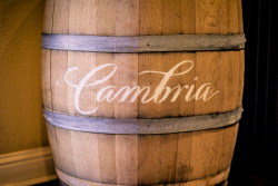 Cambria Winery Google+ Image 8